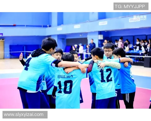 南京排球队的拼搏之路:城市联赛中的奋斗与荣耀